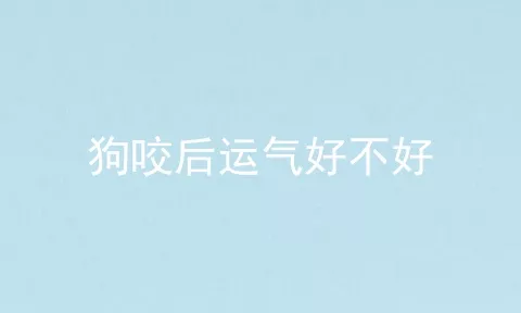 狗咬后运气好不好