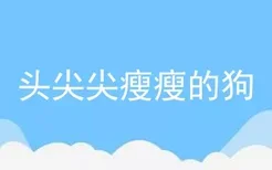 头尖尖瘦瘦的狗