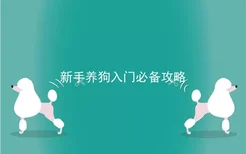 新手养狗入门必备攻略