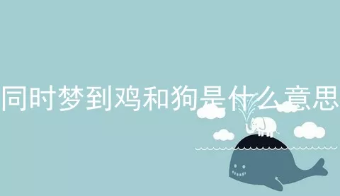 同时梦到鸡和狗是什么意思