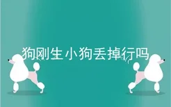 狗刚生小狗丢掉行吗