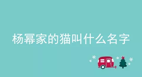 杨幂家的猫叫什么名字