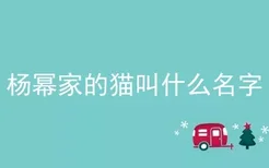 杨幂家的猫叫什么名字