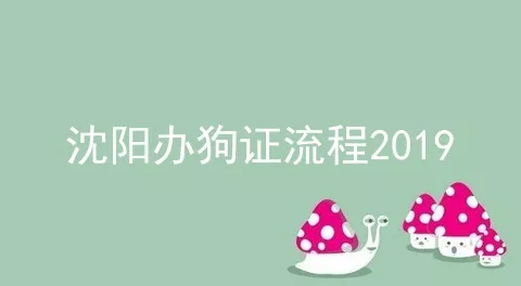 沈阳办狗证流程2019