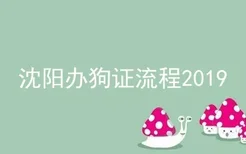 沈阳办狗证流程2019