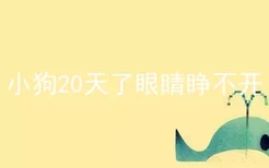 小狗20天了眼睛睁不开