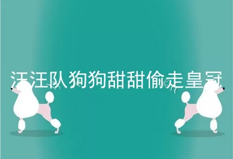 汪汪队狗狗甜甜偷走皇冠