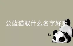 公蓝猫取什么名字好听