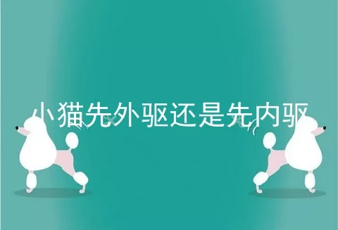 小猫先外驱还是先内驱