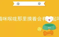 猫咪喉咙那里摸着会有凸起吗