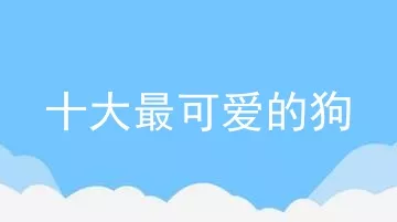 十大最可爱的狗