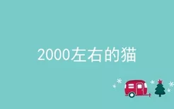 2000左右的猫