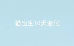 猫出生10天变化