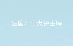 法国斗牛犬护主吗