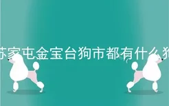 苏家屯金宝台狗市都有什么狗