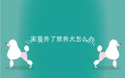 家里养了禁养犬怎么办