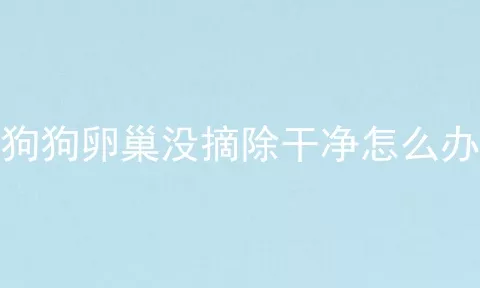 狗狗卵巢没摘除干净怎么办