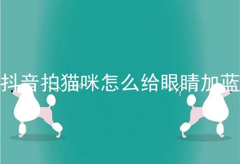 抖音拍猫咪怎么给眼睛加蓝