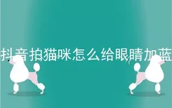 抖音拍猫咪怎么给眼睛加蓝