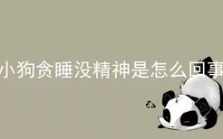 小狗贪睡没精神是怎么回事