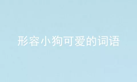 形容小狗可爱的词语