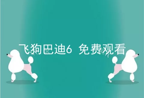 飞狗巴迪6 免费观看