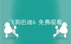 飞狗巴迪6 免费观看