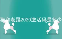 猫和老鼠2020激活码是多少