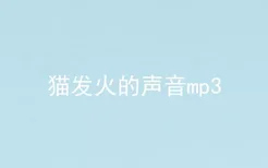 猫发火的声音mp3