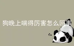 狗晚上喘得厉害怎么回事