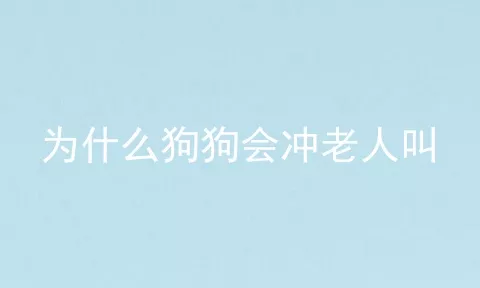 为什么狗狗会冲老人叫