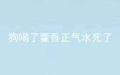 狗喝了藿香正气水死了