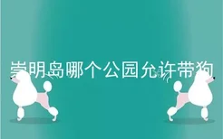 崇明岛哪个公园允许带狗