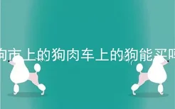 狗市上的狗肉车上的狗能买吗