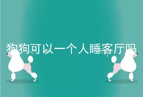 狗狗可以一个人睡客厅吗