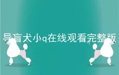 导盲犬小q在线观看完整版