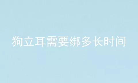 狗立耳需要绑多长时间