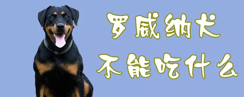 罗威纳犬不能吃什么1