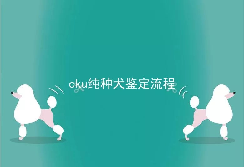 cku纯种犬鉴定流程