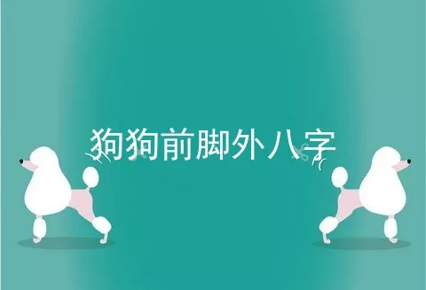 狗狗前脚外八字