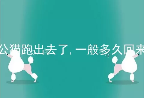 公猫跑出去了,一般多久回来