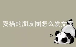 卖猫的朋友圈怎么发文案