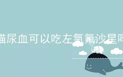 猫尿血可以吃左氧氟沙星吗