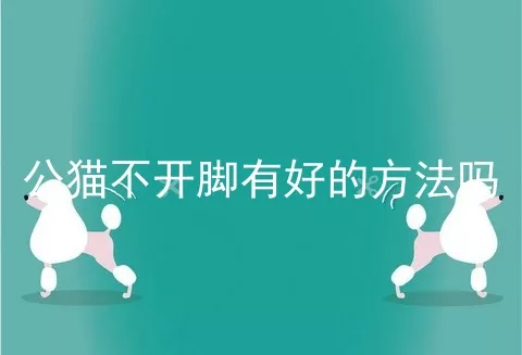 公猫不开脚有好的方法吗