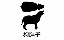 大丹犬怎么养好 特殊期护理手册