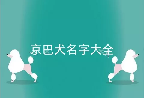 京巴犬名字大全