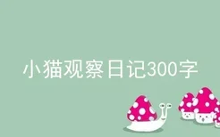 小猫观察日记300字