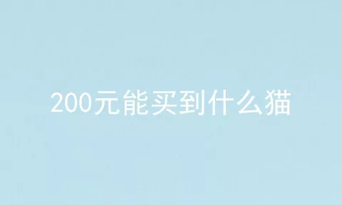 200元能买到什么猫