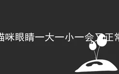 猫咪眼睛一大一小一会又正常