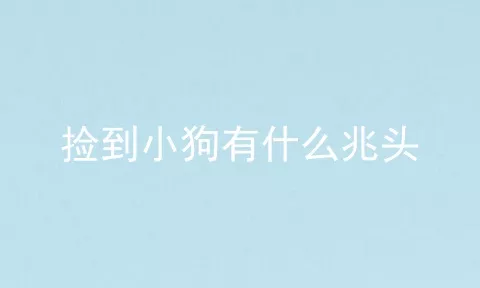 捡到小狗有什么兆头